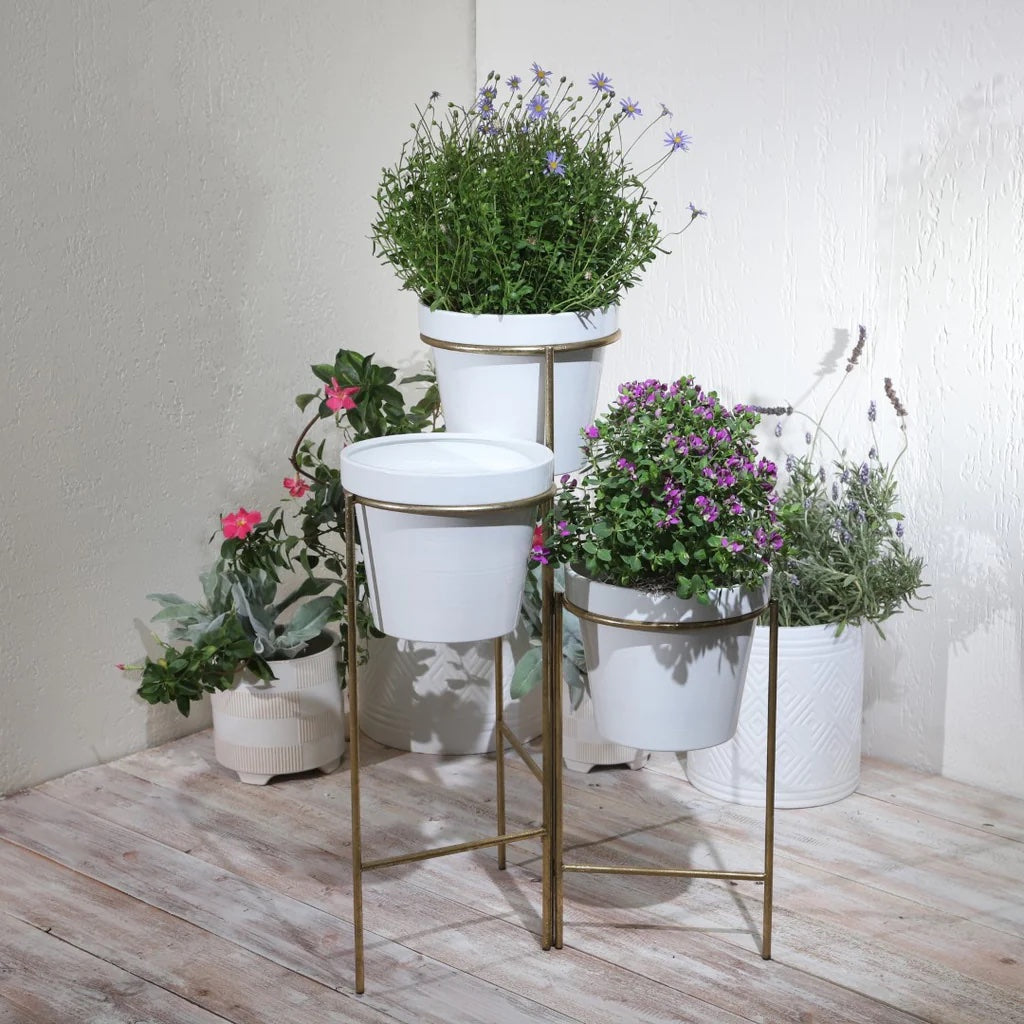 Trei White Planters