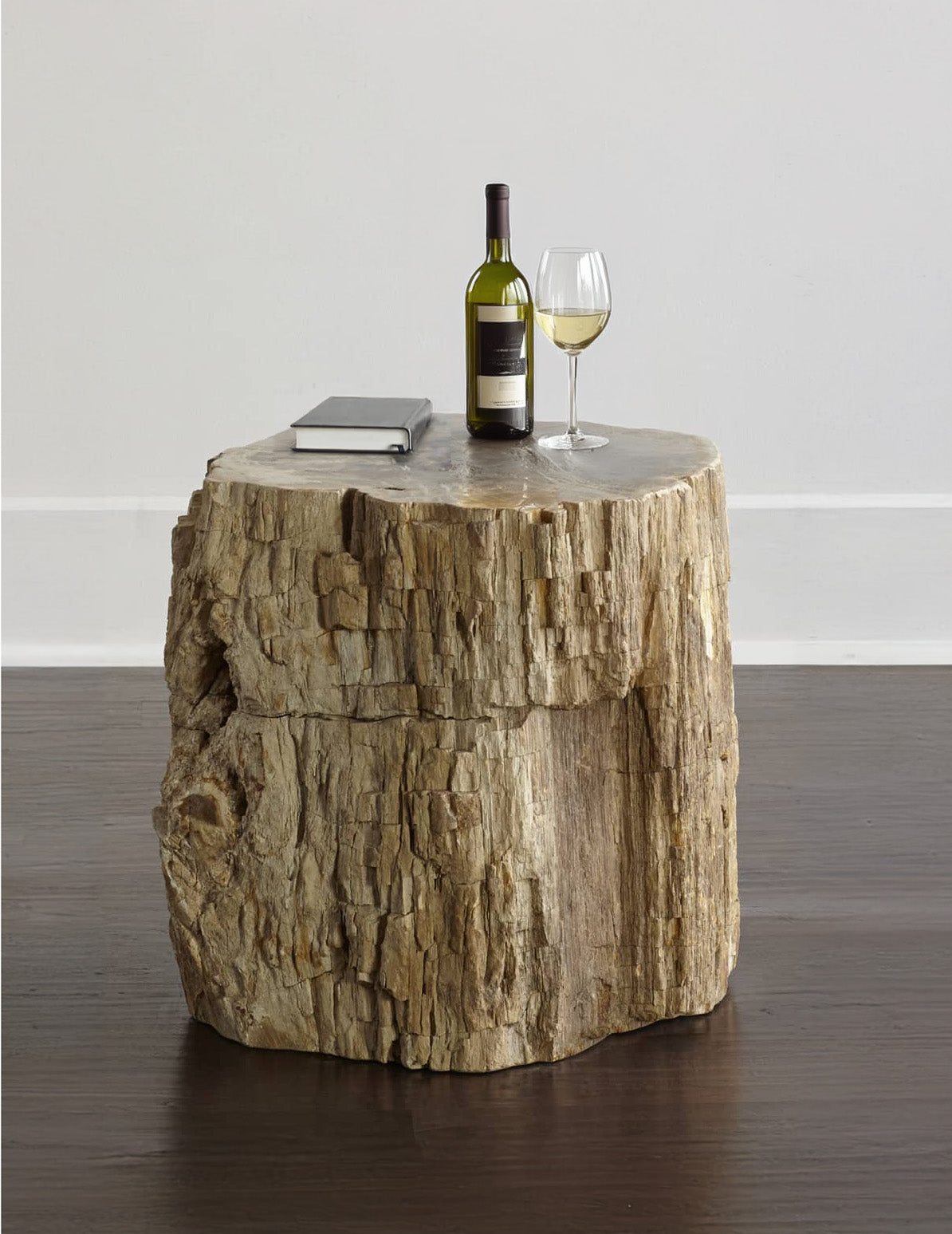 Petrified Wood Accent Table