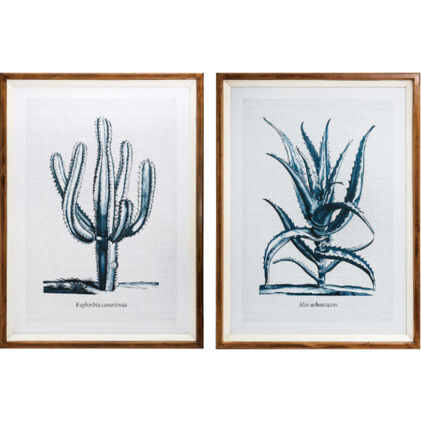 Cactus Fir Framed Wall Art, 2 Styles