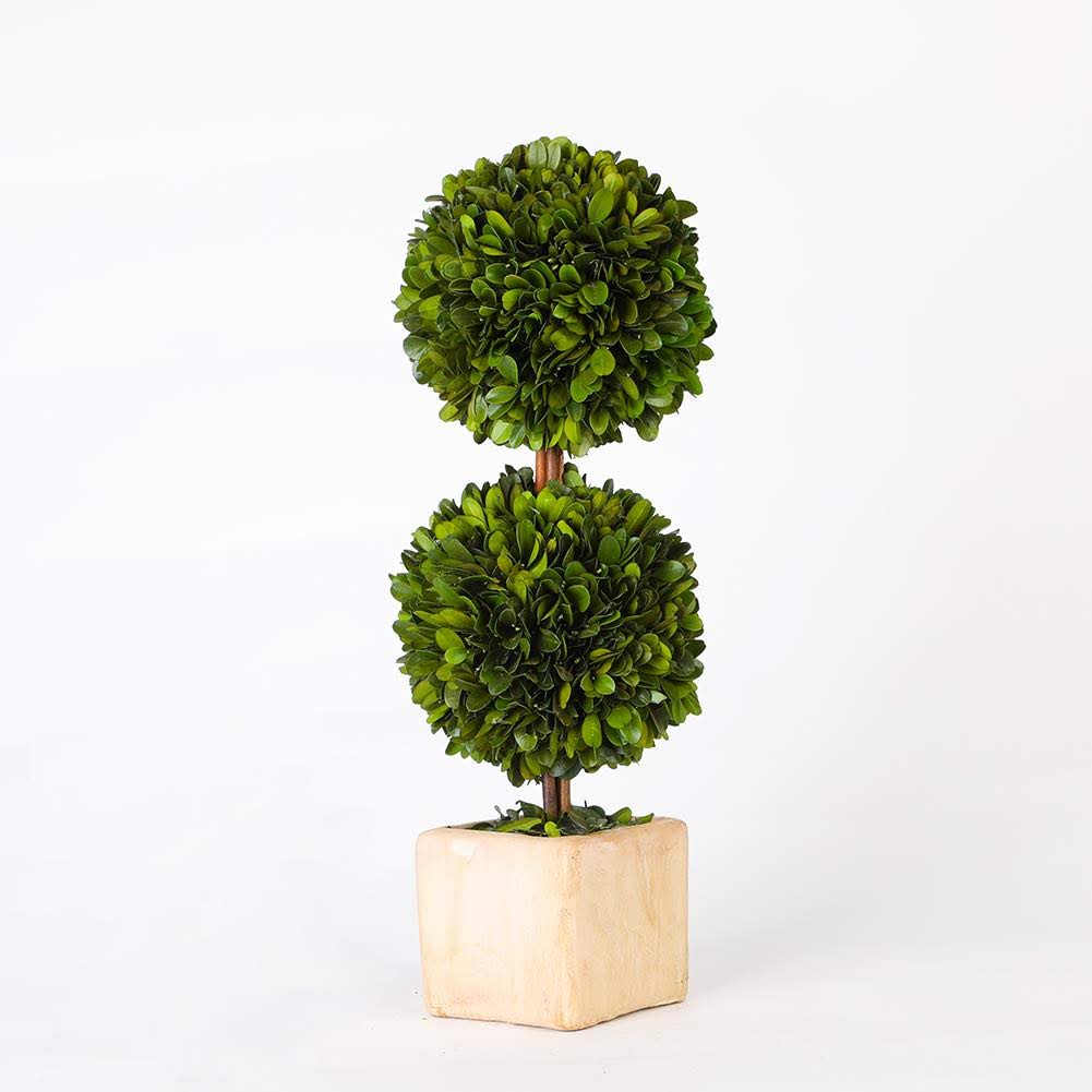 Boxwood Double Topiary, Set Of 2