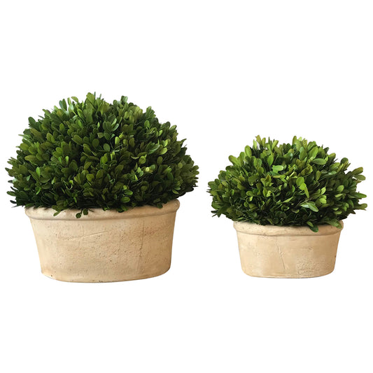 Boxwood Natural Style Oval Shape On Oval Set Of 2