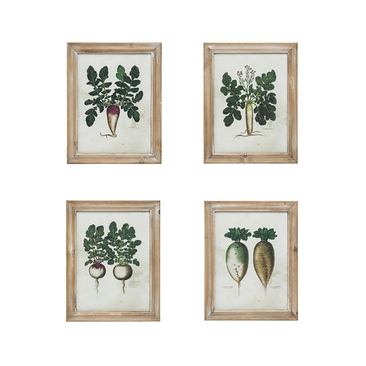 Radish Fir Framed Wall Art, 4 Styles