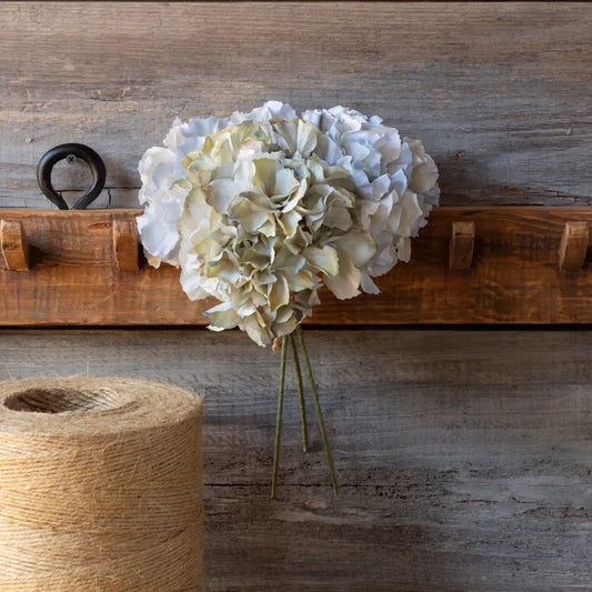 Hydrangea Bundle, Sky Blue-late and Season Blue