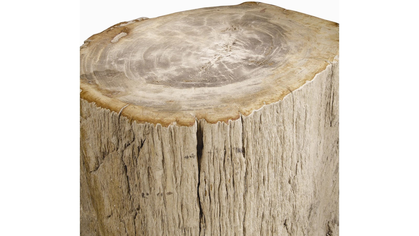 Petrified Wood Accent Table