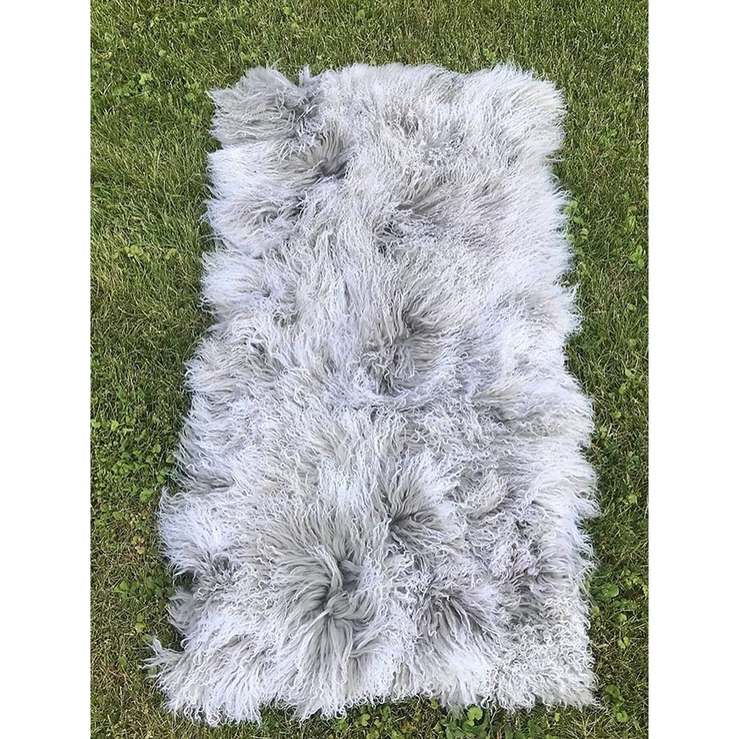 Tibetan Plate 2 X 4 Unlined, Gray Snowtop