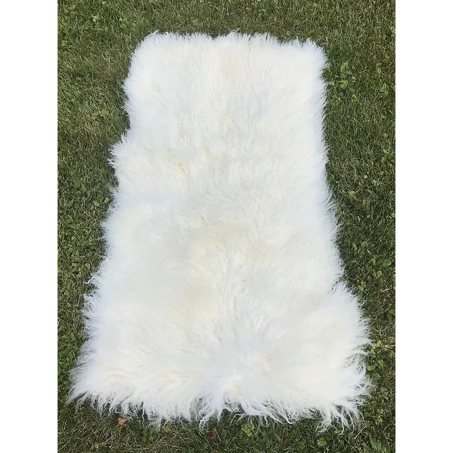 Tibetan Plate 2 X 4 Unlined - Natural / Country White