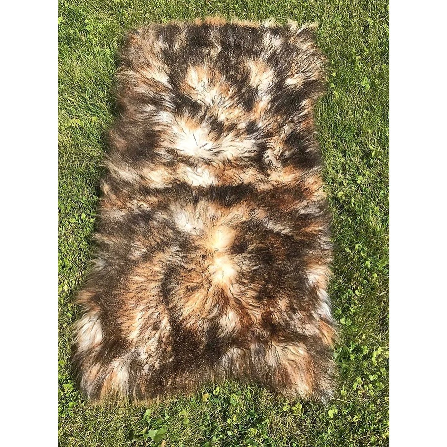 Tibetan Plate 2 X 4 Unlined, Coyote