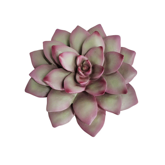 Echeveria Succulent Wall Decor, Pink and Green