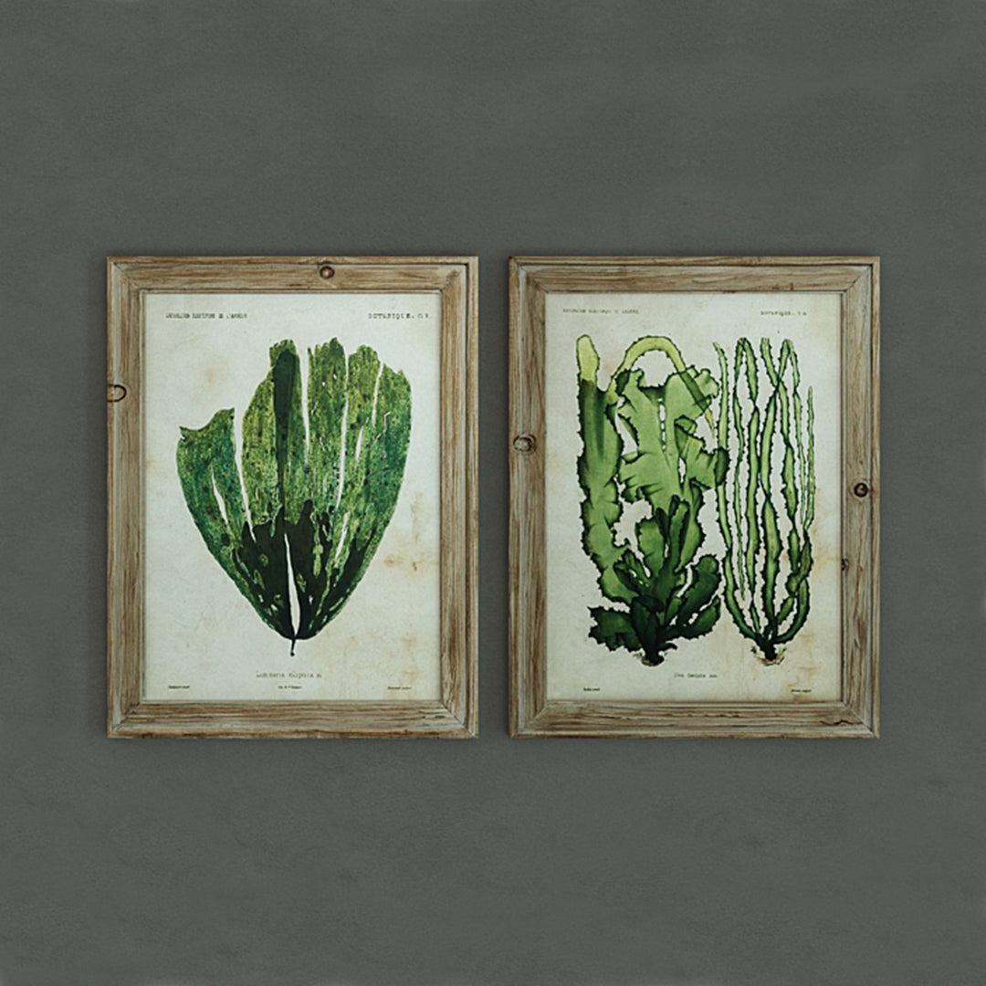 Botanical Fir Framed Wall Art, 2 Styles