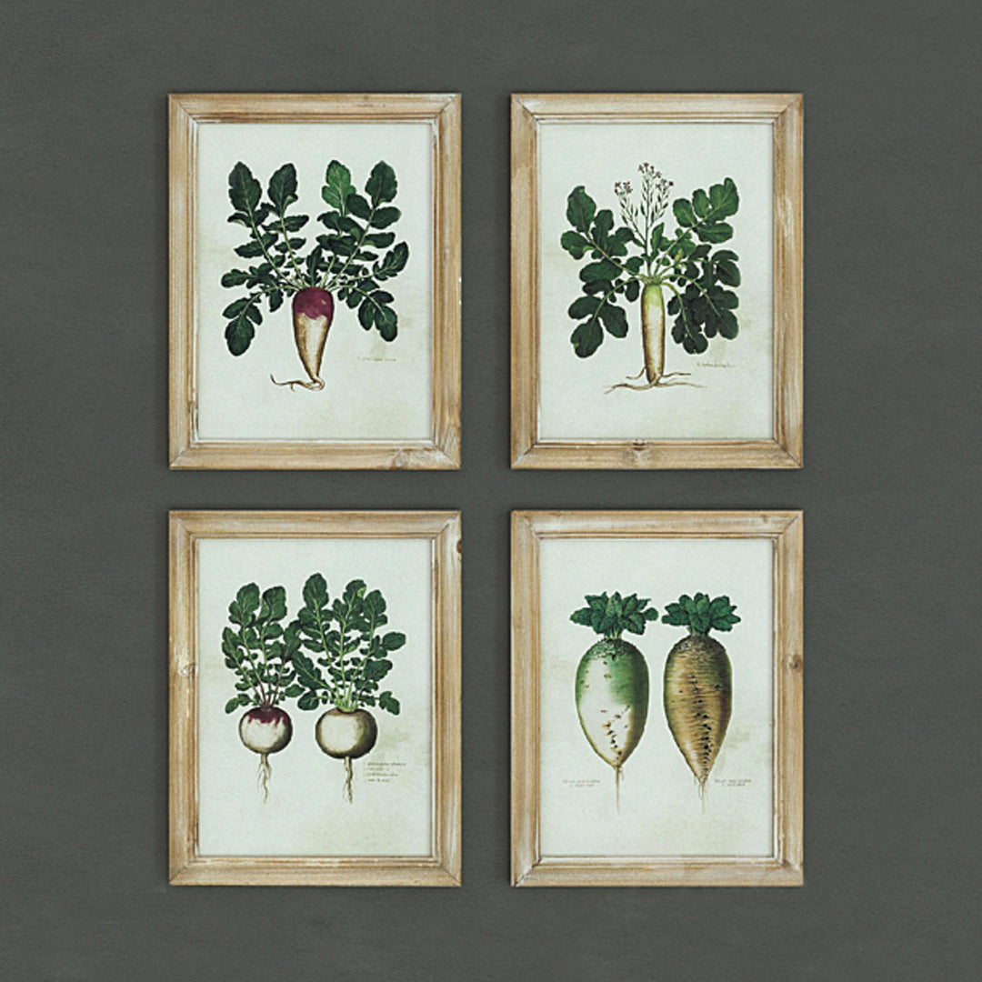Radish Fir Framed Wall Art, 4 Styles