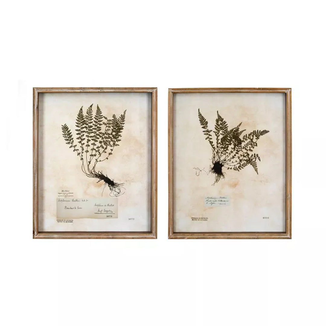Fir Wall Decor with Fern Pattern (2 Styles)