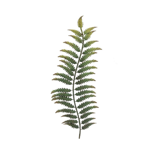 Iron Leaves Wall Decor