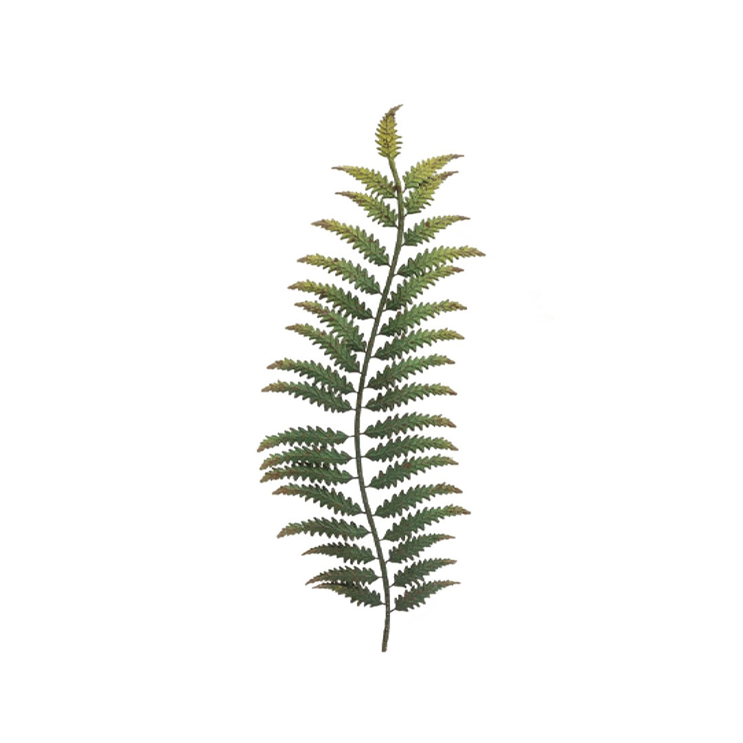 Iron Feather Wall Decor, Green