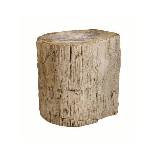 Petrified Wood Accent Table