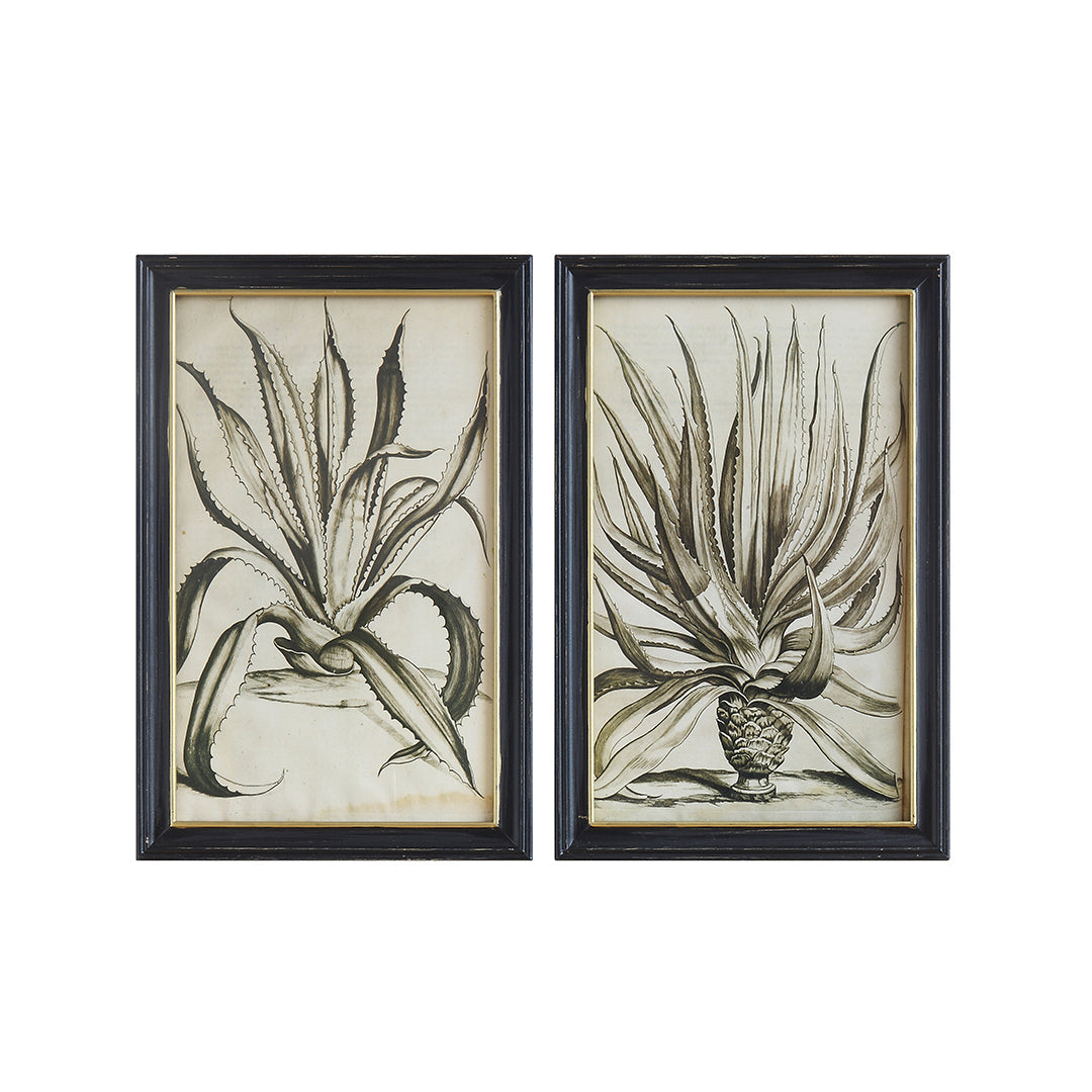 Wood Framed Wall Decor with Botanical Art (2 Styles)