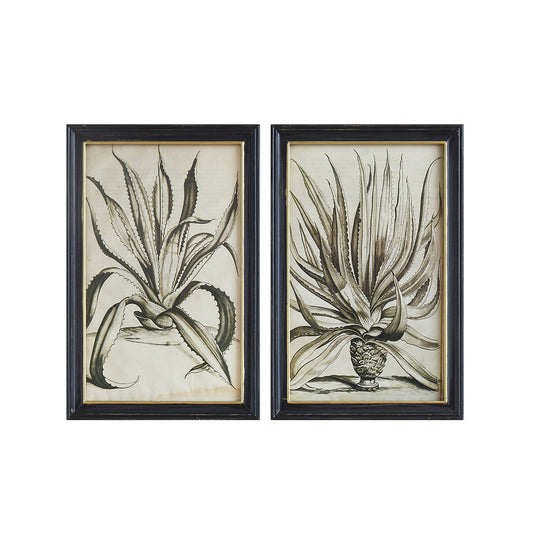 Botanical Wood Frame Wall Art, 2 Styles
