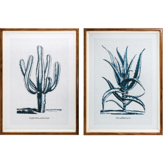 Cactus Fir Framed Wall Art, 2 Styles