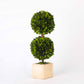Boxwood Double Topiary, Set Of 2