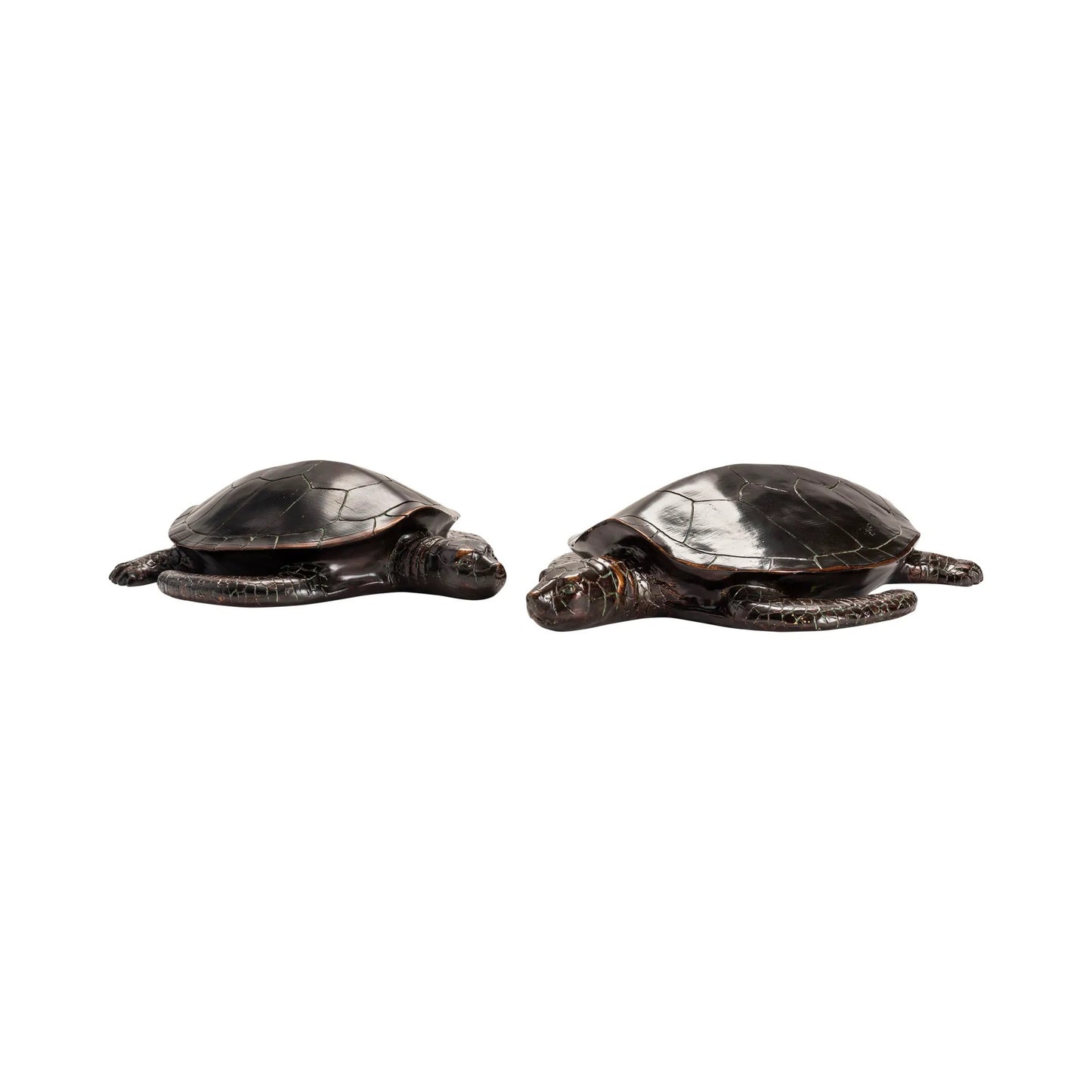 Sheldon Turtle Statue, Set Of 2