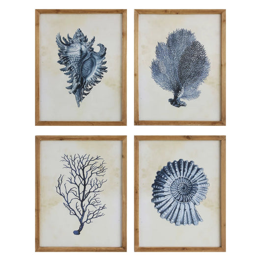 Fir Framed Wall Art with Coral and Shells Image, Indigo and White, 4 Styles