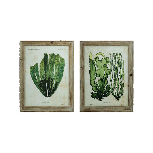 Botanical Fir Framed Wall Art, 2 Styles