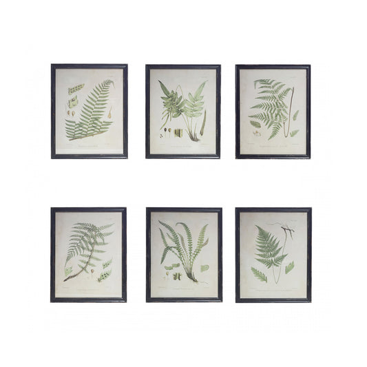 Fir Framed Art with Vintage Ferns Image, 6 Styles