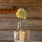 Hydrangea Stem - Green Blush