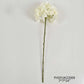 Hydrangea Stem - White