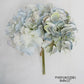 Hydrangea Bundle - Sky Blue-late Season Blue