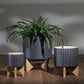 Acalan 8" Planter With Stand