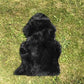 Sheepskin Single, Black