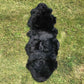 Sheepskin Double, Black