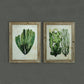 Botanical Fir Framed Wall Art, 2 Styles