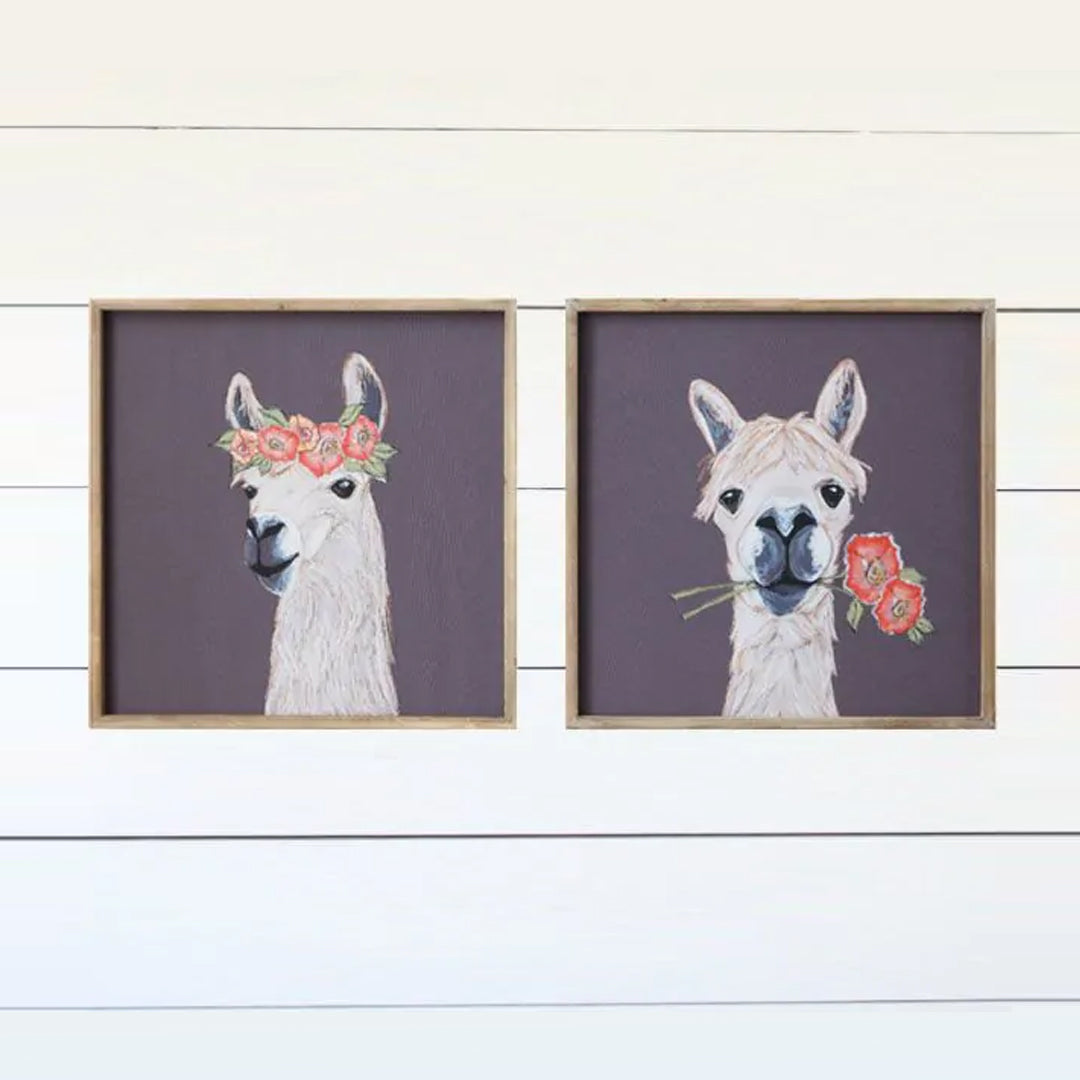 Kellie Wood Framed Wall Art with Llama (2 Styles)