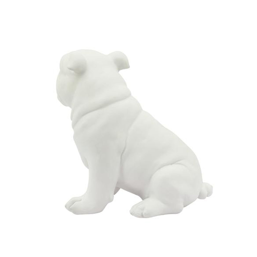 Nariz Dog